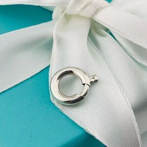 Tiffany large clasping link for charms